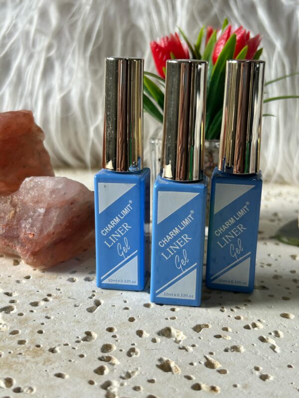 ESMALTE SEMI PERMANENTE LINER GEL #06 -10ML CHARM LIMIT
