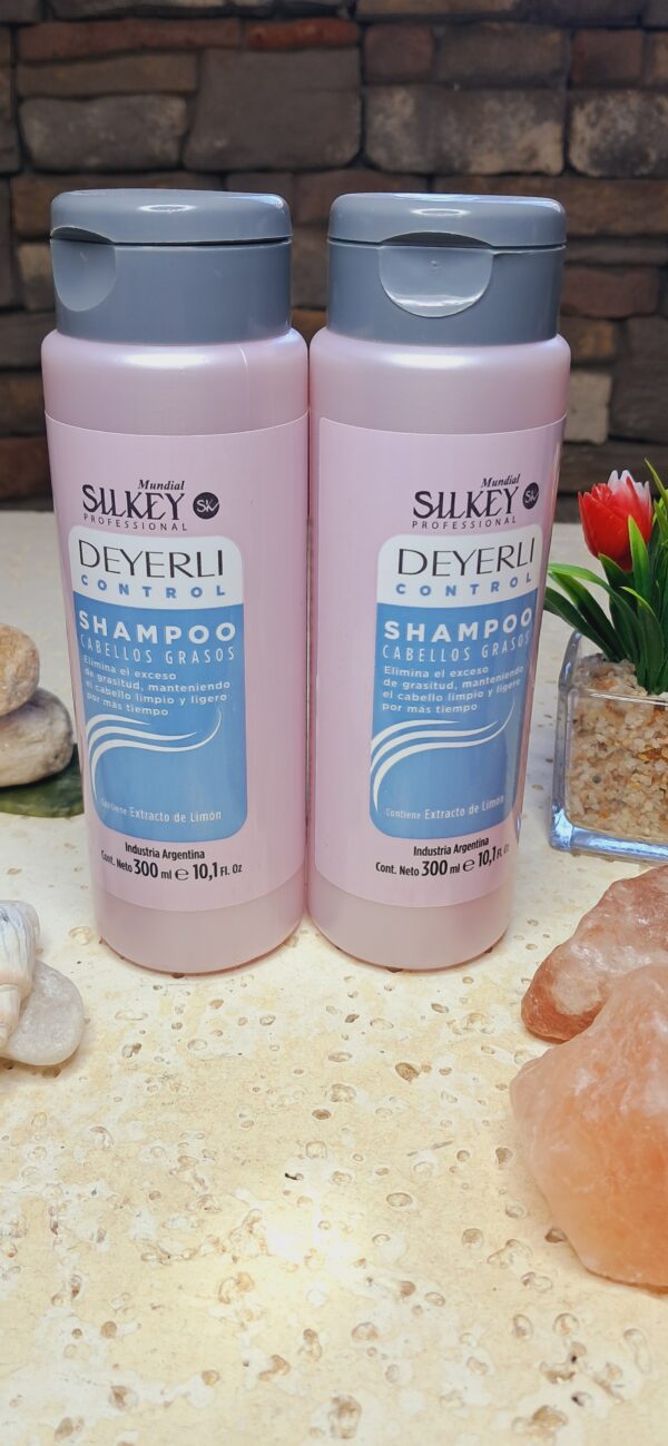 SHAMPOO CABELLOS GRASOS 300ML SILKEY